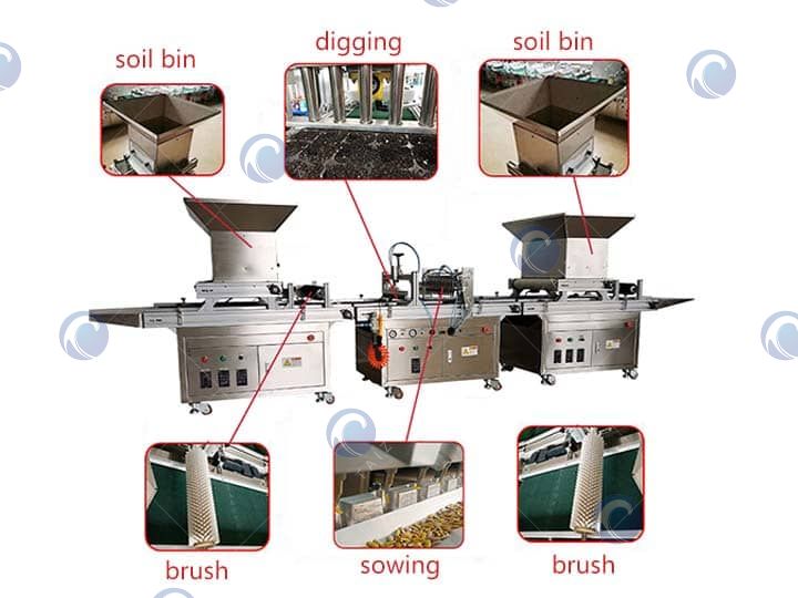 Plug Seedling Machine‘s Structure Plug Seedling Machine‘s Structure