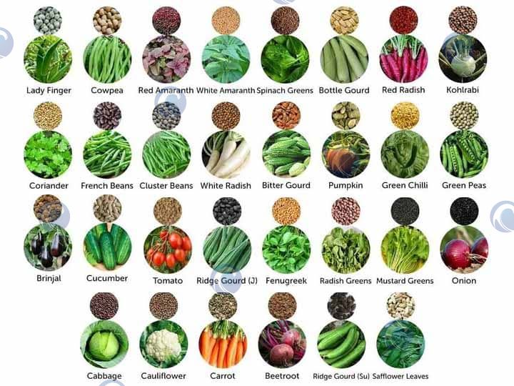 various seeds various seeds