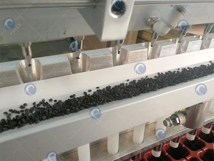 Export Automatic Seed Sowing Machine To Canada 2 Suction Needles 1 1