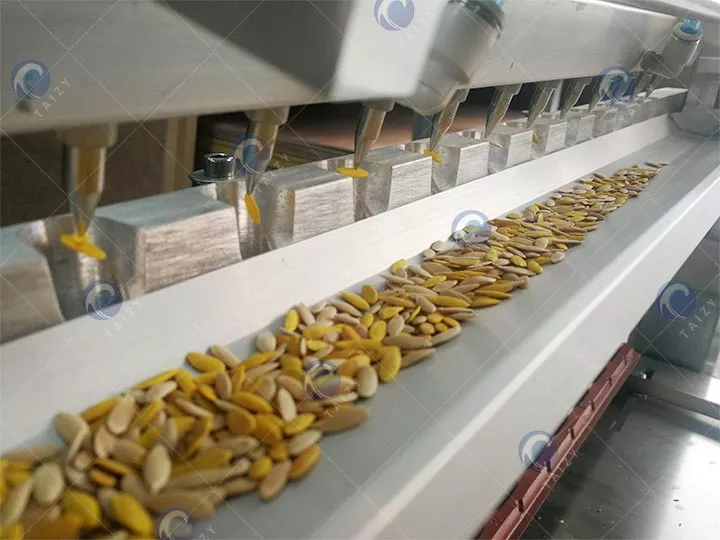 Suction Seeds Display Suction Seeds Display
