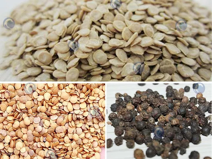 Tomato, Pepper, And Eggplant Seeds Tomato, Pepper, And Eggplant Seeds