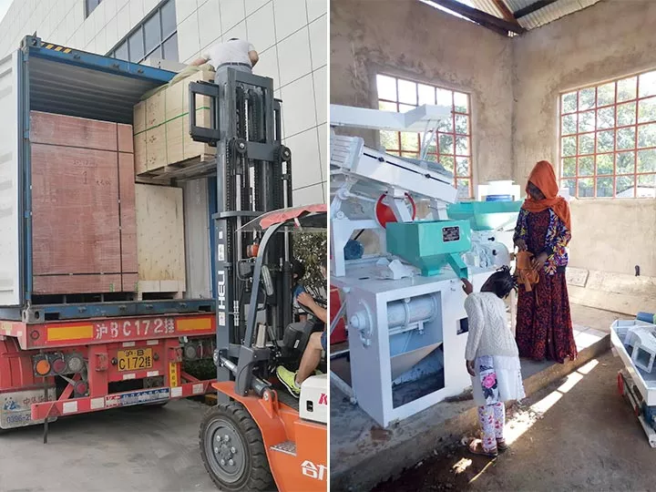 Rice processing plant
