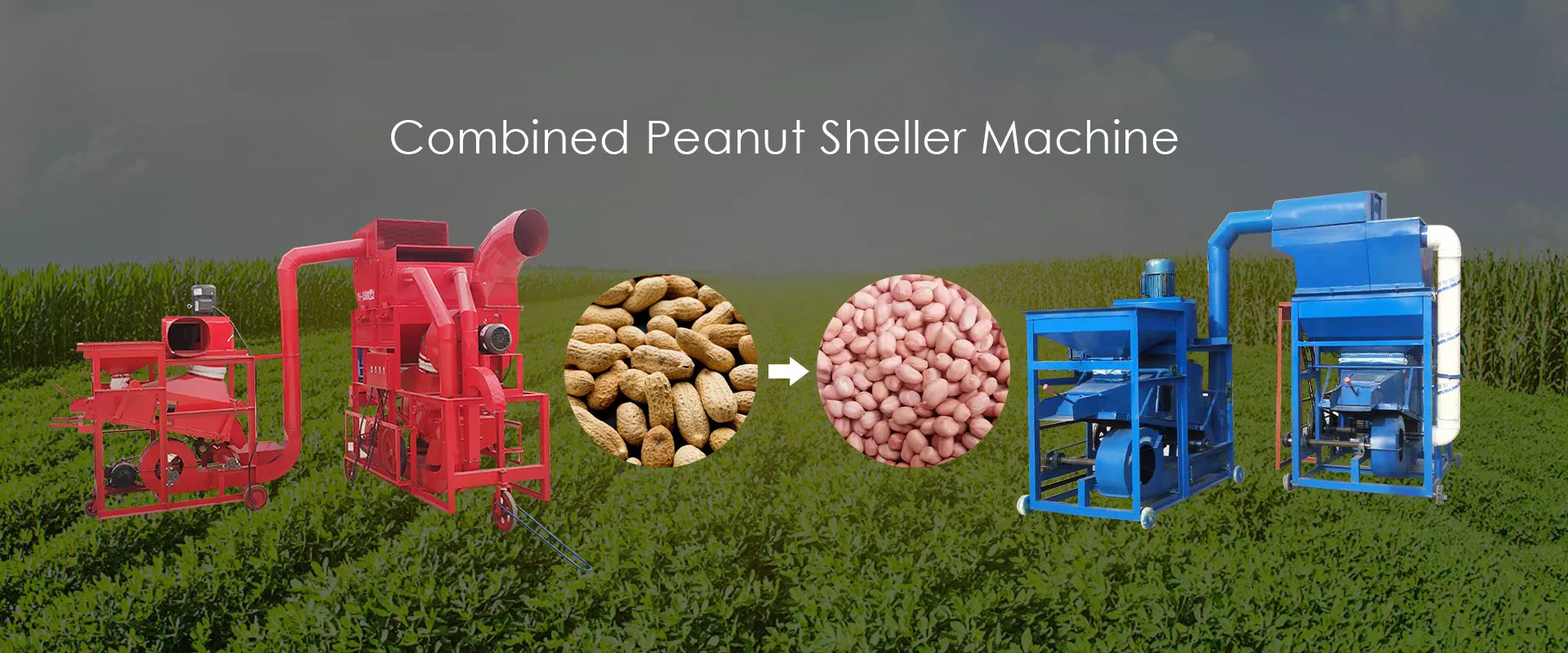 máquina descascadora de amendoim
