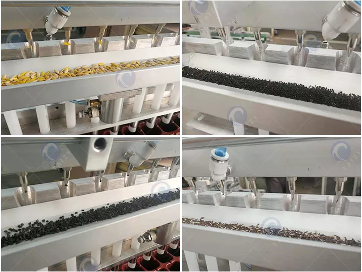 Máy gieo hạt giống rau có thể gieo nhiều loại hạt khác nhau.