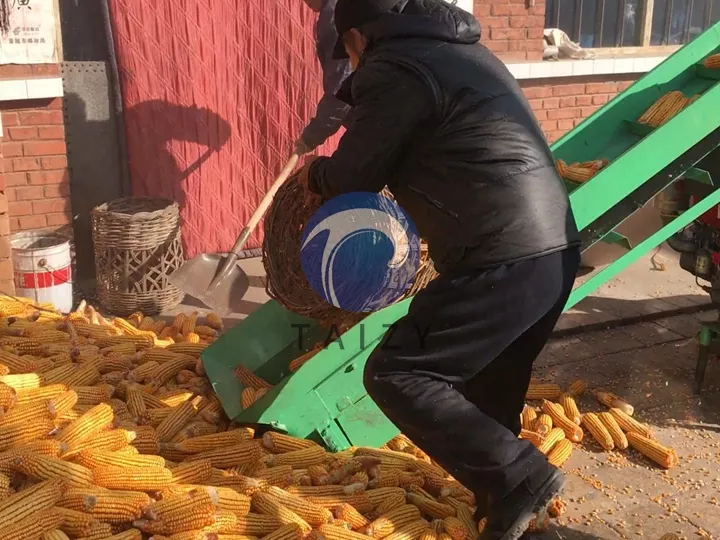 corn thresher loading