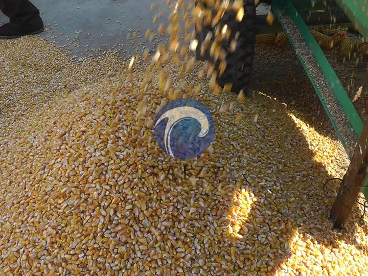 maize threshing machine discharge