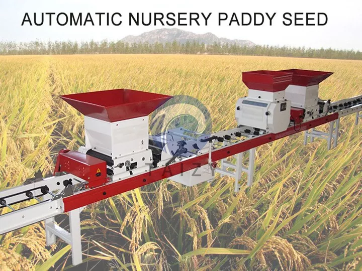 Automatischer Reispflanzensetzling