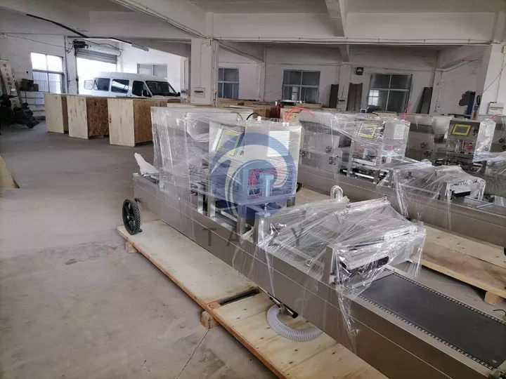 nursery seedling machine for sale