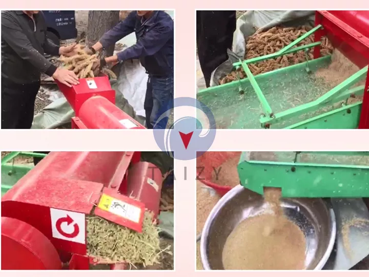 Sorghum-Entkörnungsmaschine zum Verkauf