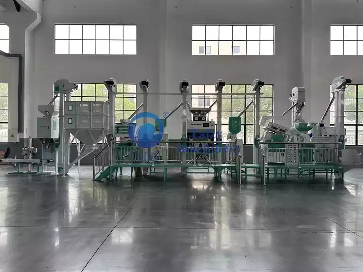 dịch vụ xử lý gạo trắng