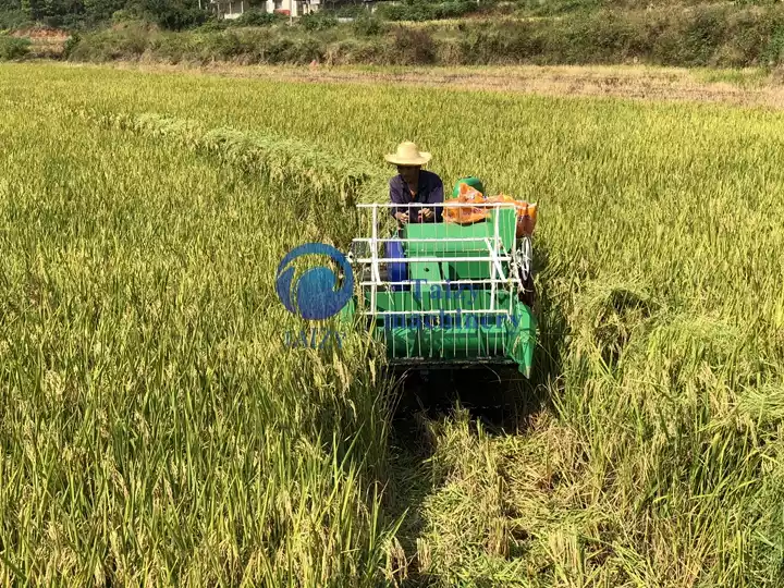 農地の収穫