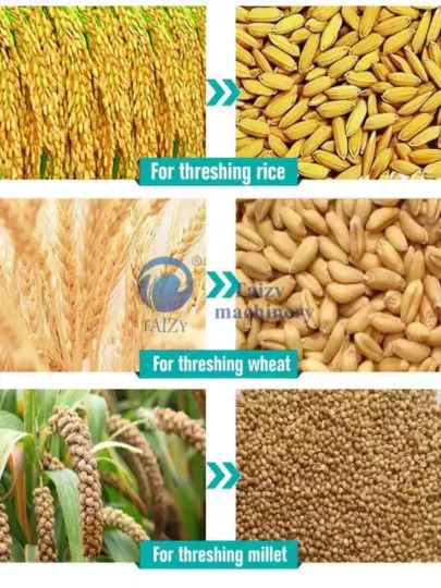 Trilladora de granos de arroz y trigo, trilladora de cultivos múltiples a la venta 3 Aplicaciones de la trilladora de arroz