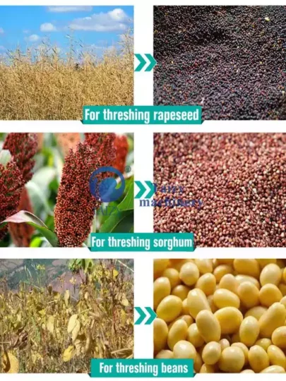 Trilladora de granos de arroz y trigo, trilladora de cultivos múltiples a la venta 2 Aplicaciones de la trilladora de trigo