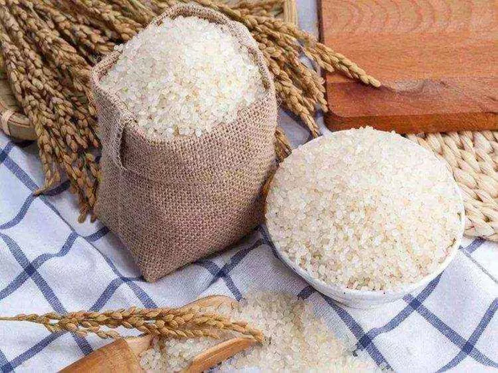 Sản xuất gạo trắng