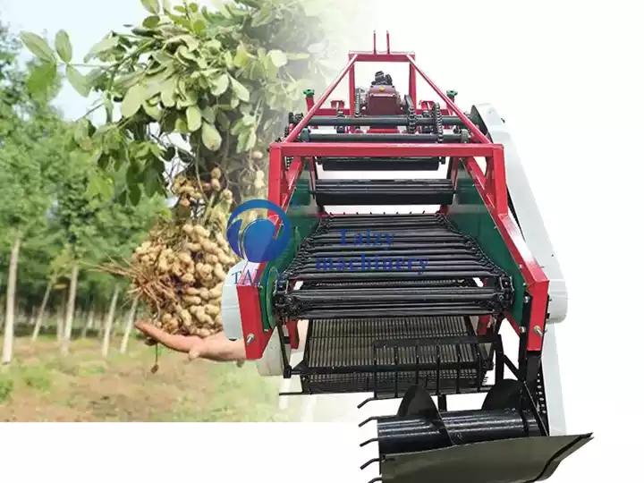ماكينة حصاد الفول السوداني الأوتوماتيكية للبيع