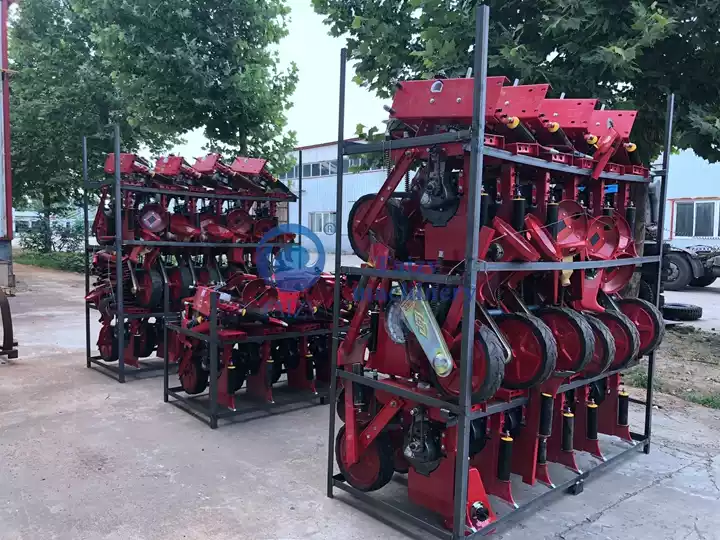 maize seed planter