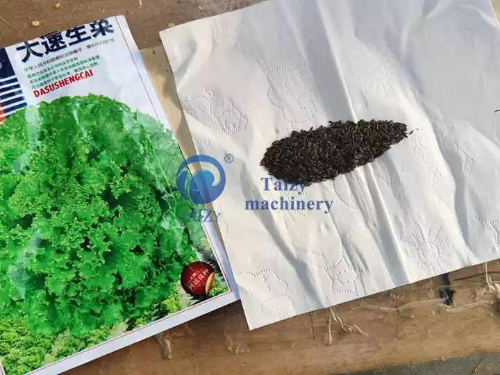 alface (seed)