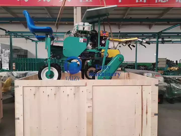 trasplantadora de plántulas de cebolla en venta