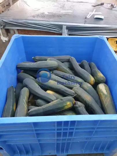 شمّام ببذور صالحة للأكل كبيرة
