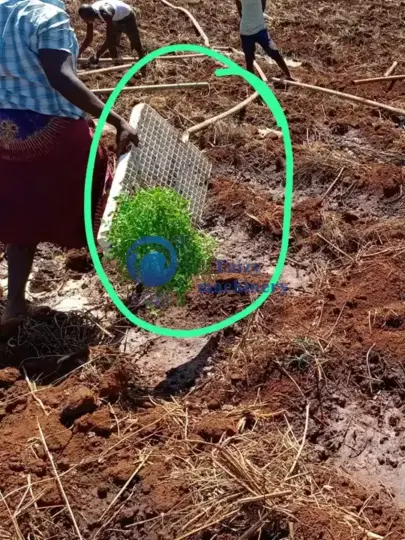 contoh baki dari pelanggan