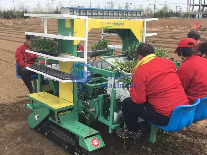Paletli transplanter çalışma alanı