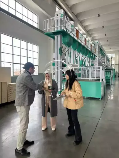 چاول ملنے والی پیداوار لائن