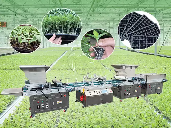 Machine à semer les plants de pépinière