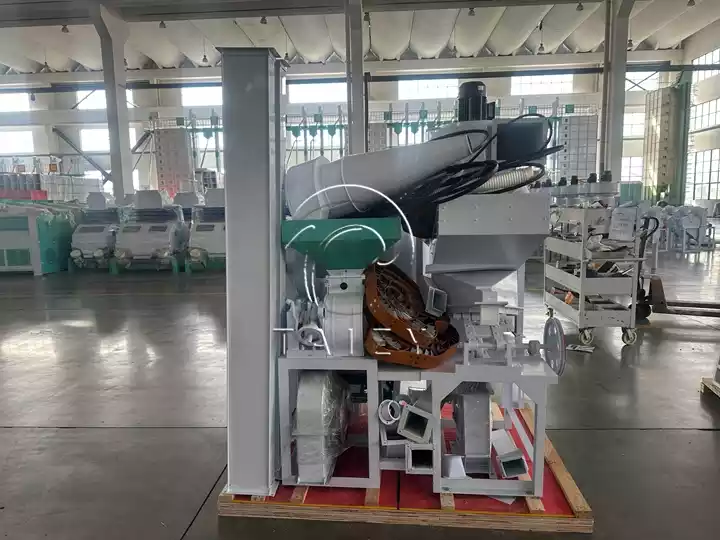 paddy to rice processing line