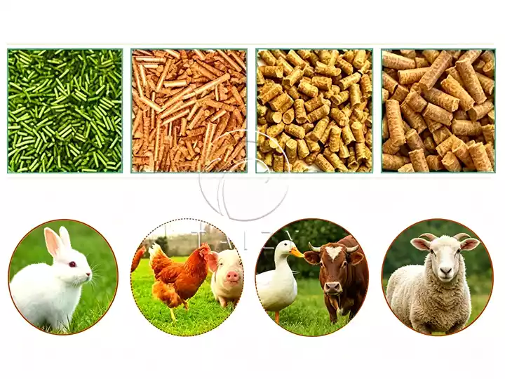 applications of the feed pellet production line