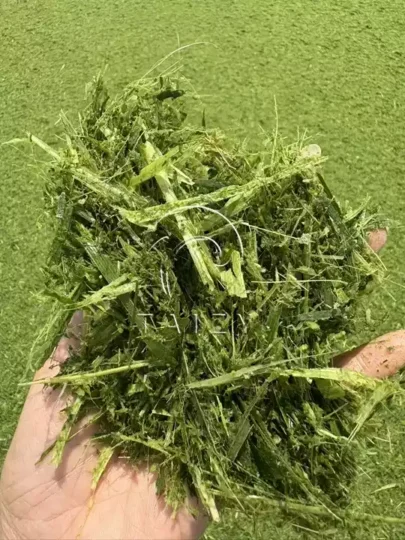 chopping performance of the silage harvester