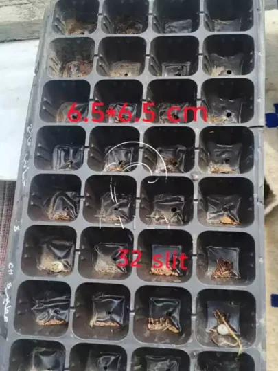 32 cell plastic seedling tray