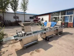 complete plug seeder production line