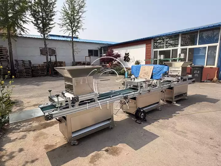 complete plug seeder production line