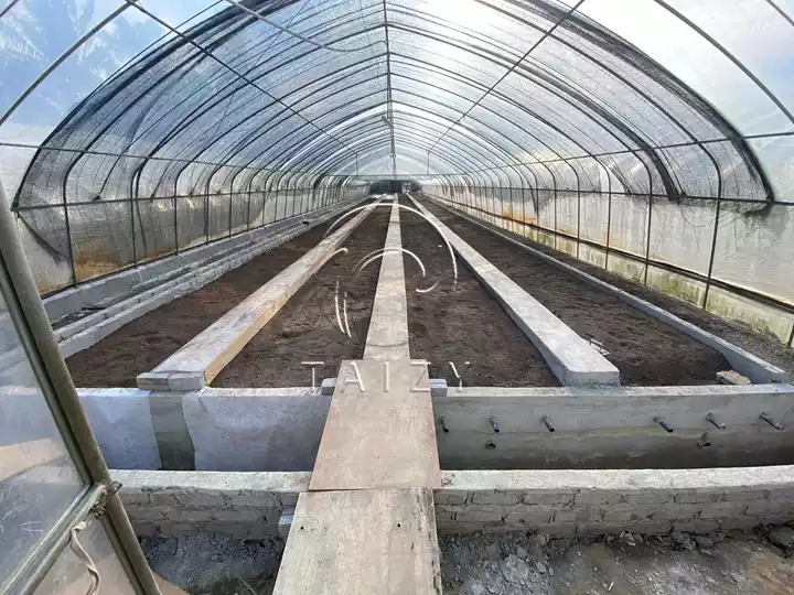 greenhouse planting bed for leafy greens