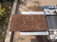 plug tray after substrate filling